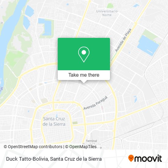 Duck Tatto-Bolivia map