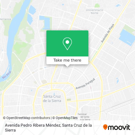 Avenida Pedro Ribera Méndez map