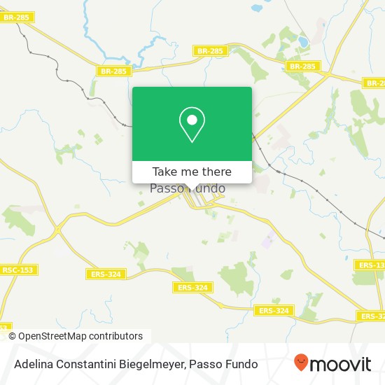 Adelina Constantini Biegelmeyer, Rua Morom, 1705 Centro Passo Fundo-RS 99051-400 map
