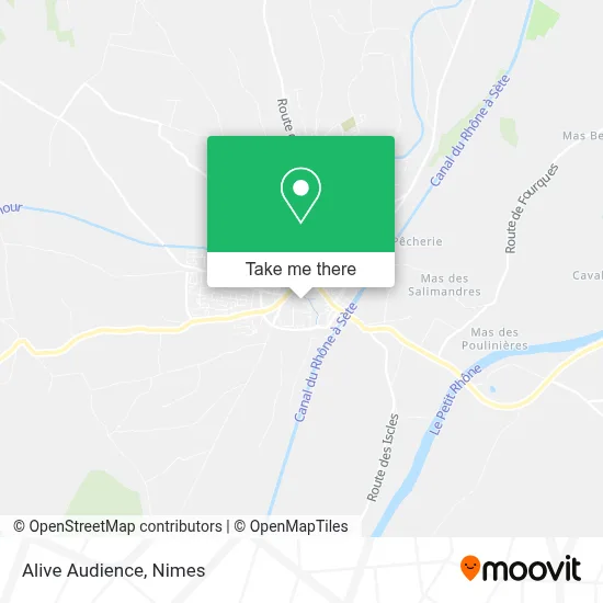 Alive Audience map