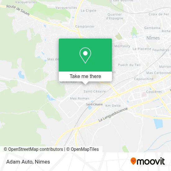 Adam Auto map