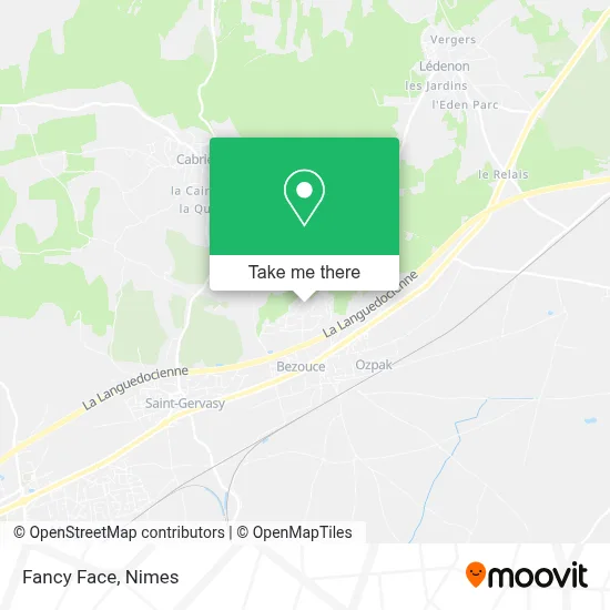 Fancy Face map