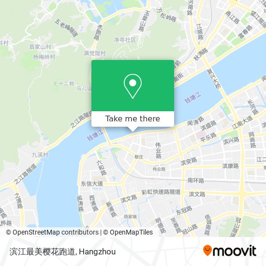 滨江最美樱花跑道 map