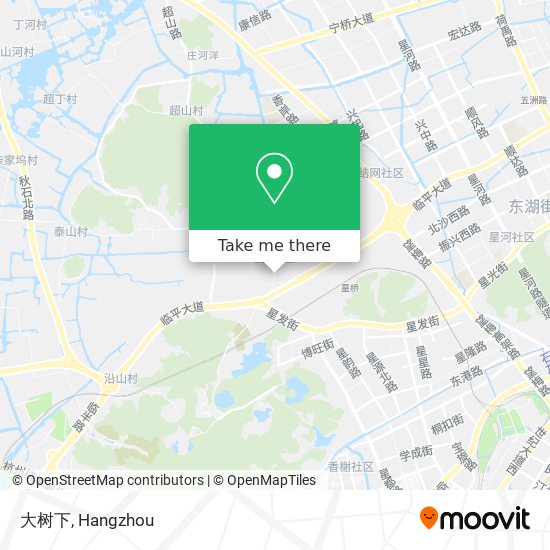 大树下 map