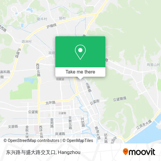 东兴路与盛大路交叉口 map