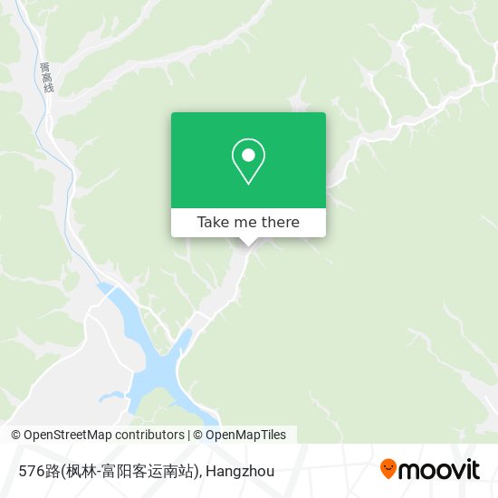576路(枫林-富阳客运南站) map