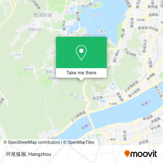 环尾狐猴 map