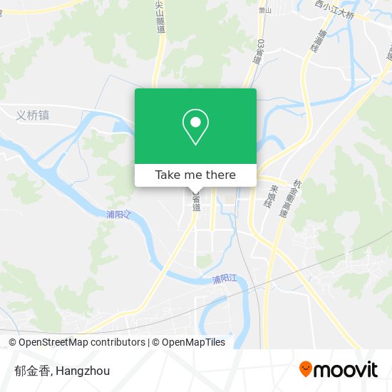 郁金香 map