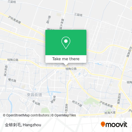 金蟒刺毛 map