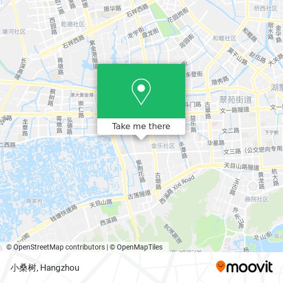 小桑树 map