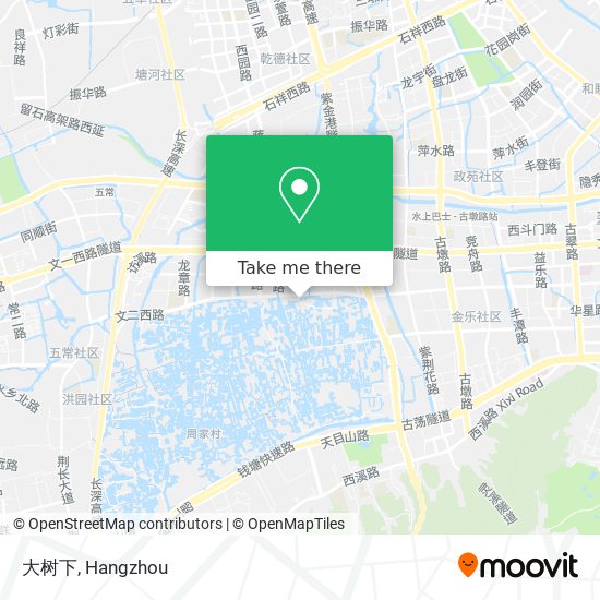 大树下 map