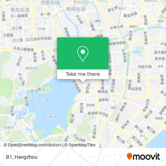B1 map