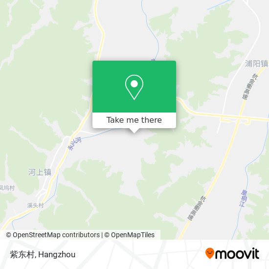 紫东村 map