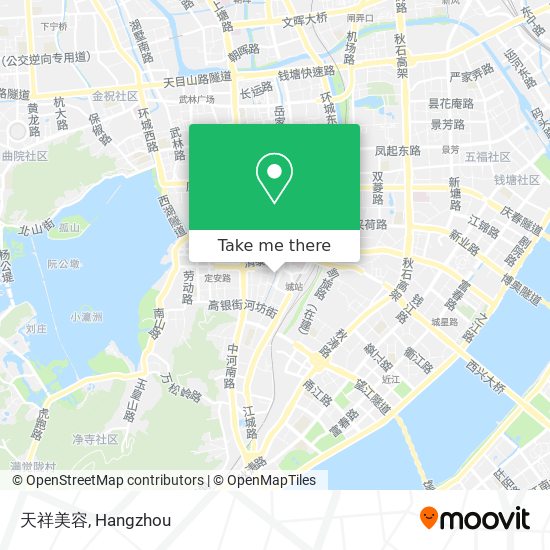 天祥美容 map
