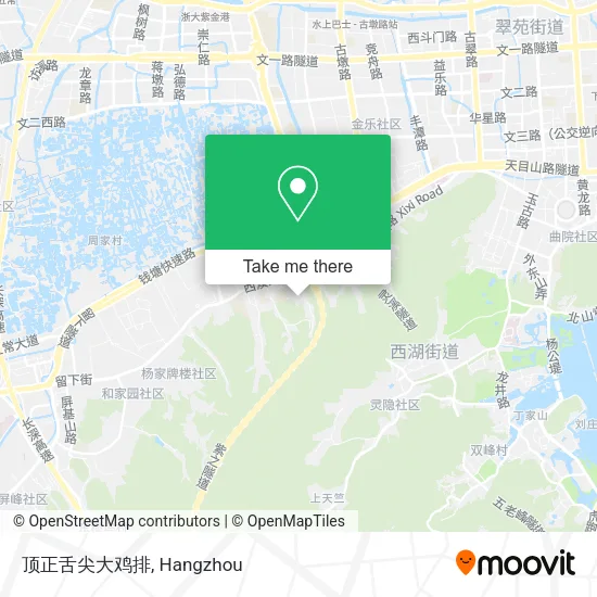 顶正舌尖大鸡排 map