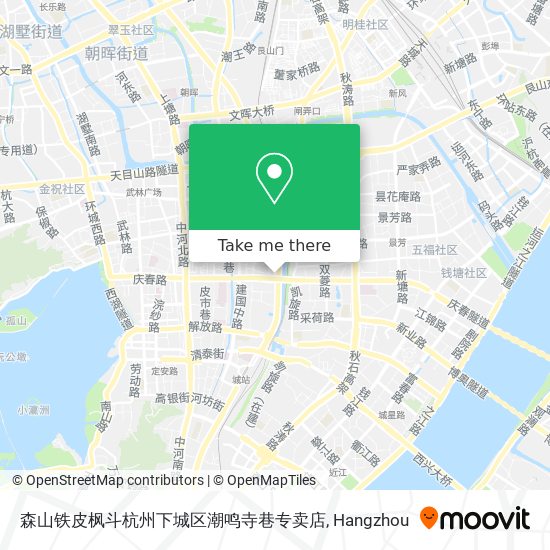 森山铁皮枫斗杭州下城区潮鸣寺巷专卖店 map