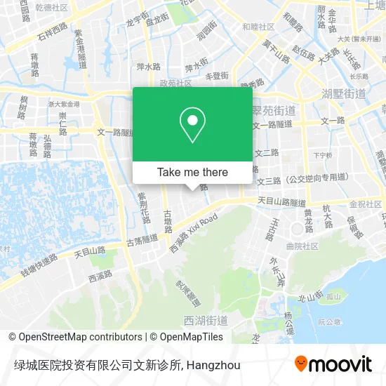 绿城医院投资有限公司文新诊所 map