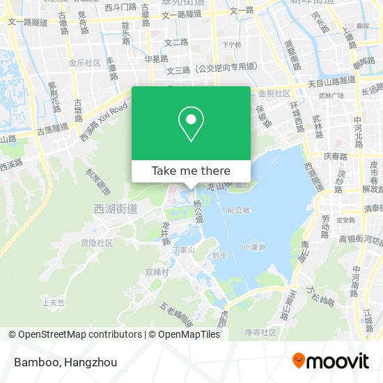 Bamboo map