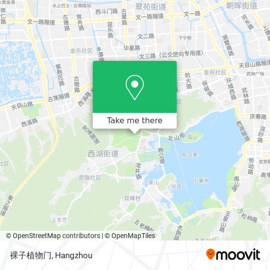 裸子植物门 map