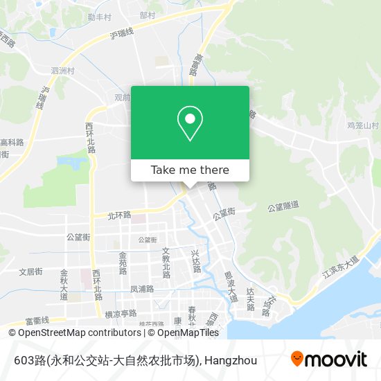 603路(永和公交站-大自然农批市场) map