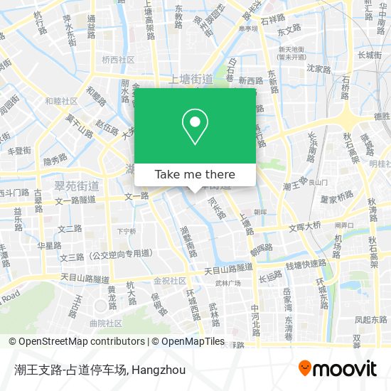 潮王支路-占道停车场 map