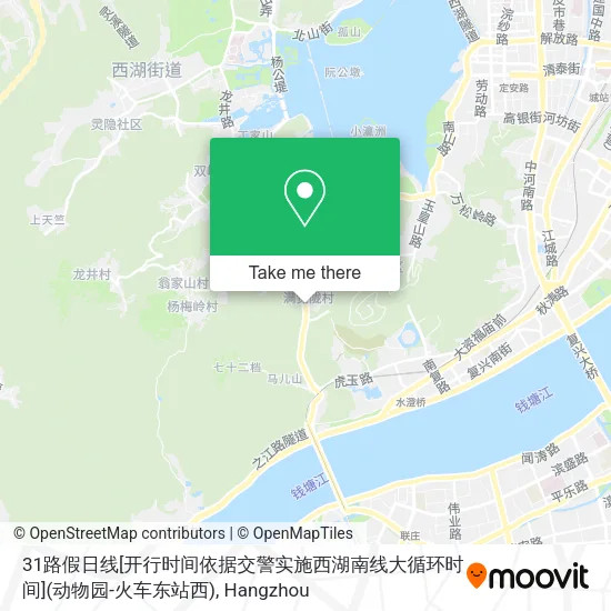 31路假日线[开行时间依据交警实施西湖南线大循环时间](动物园-火车东站西) map