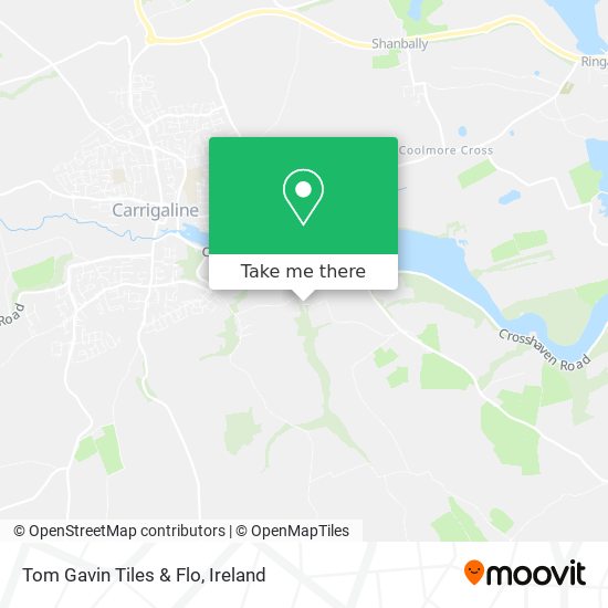 Tom Gavin Tiles & Flo plan