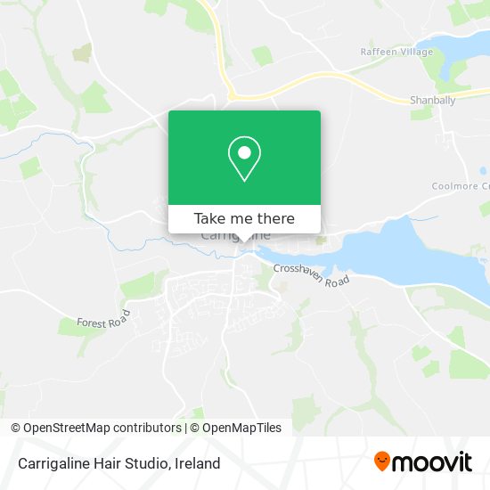 Carrigaline Hair Studio plan