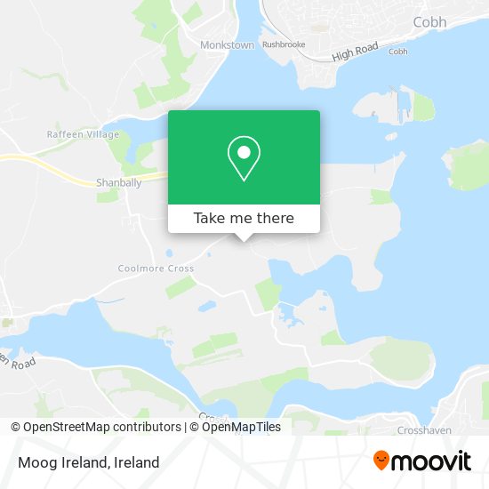 Moog Ireland plan