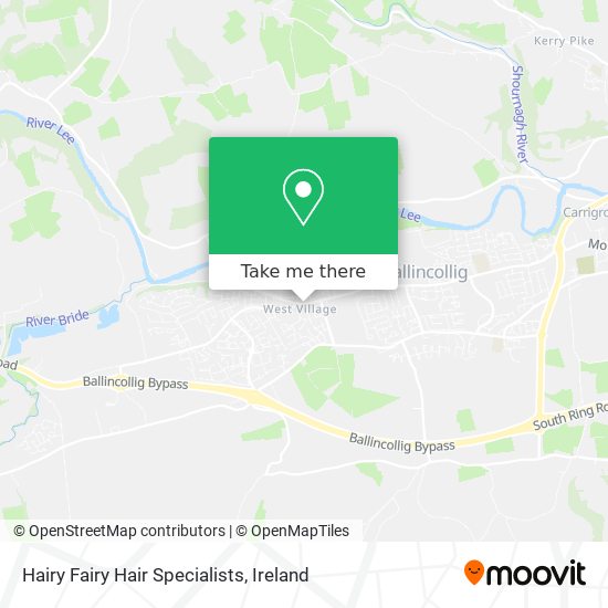 Hairy Fairy Hair Specialists map