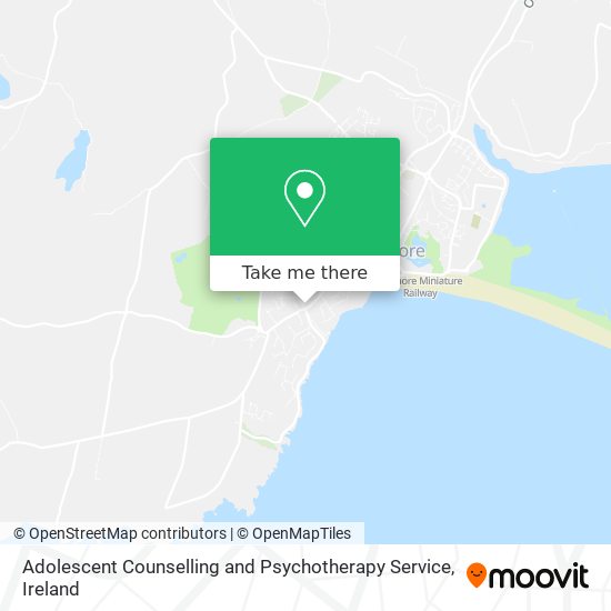 Adolescent Counselling and Psychotherapy Service plan