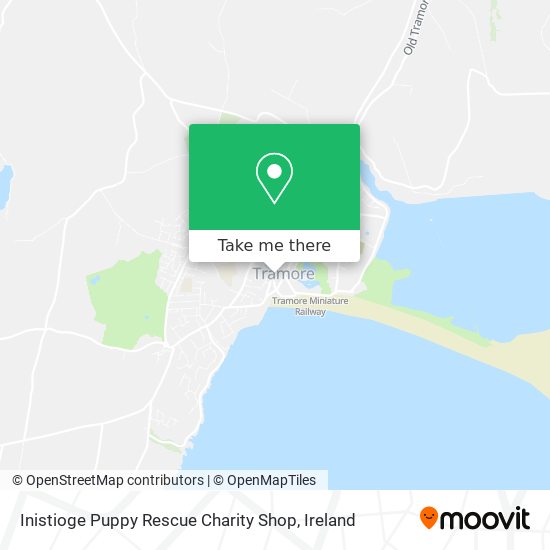 Inistioge Puppy Rescue Charity Shop map