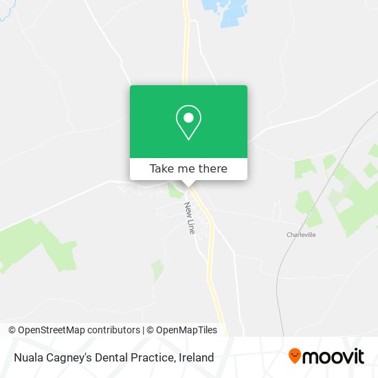 Nuala Cagney's Dental Practice plan