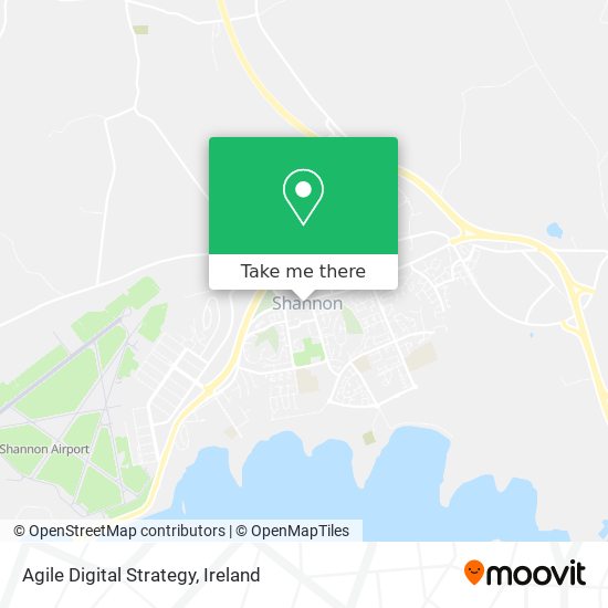 Agile Digital Strategy map