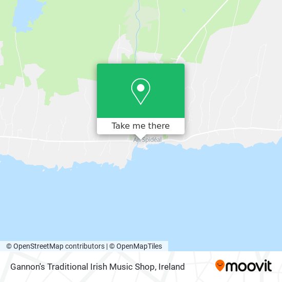 Gannon's Traditional Irish Music Shop plan