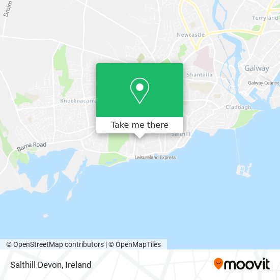 Salthill Devon map