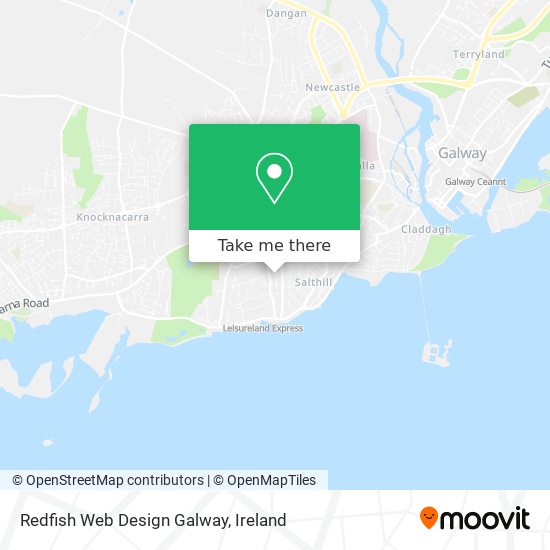 Redfish Web Design Galway map