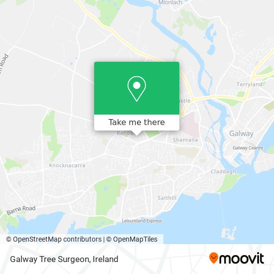Galway Tree Surgeon map