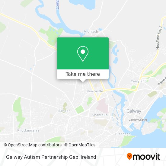 Galway Autism Partnership Gap plan