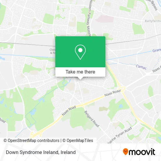 Down Syndrome Ireland map