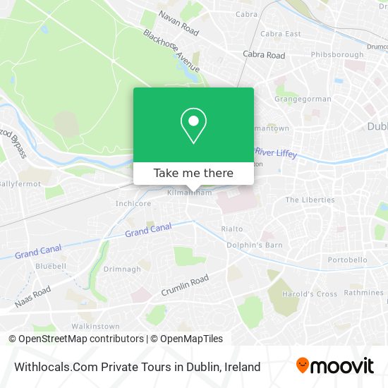 Withlocals.Com Private Tours in Dublin plan