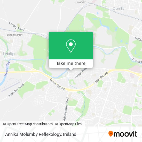Annika Molumby Reflexology map