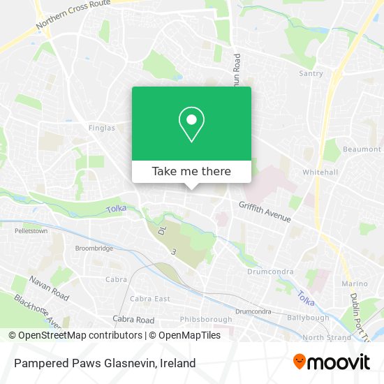 Pampered Paws Glasnevin plan