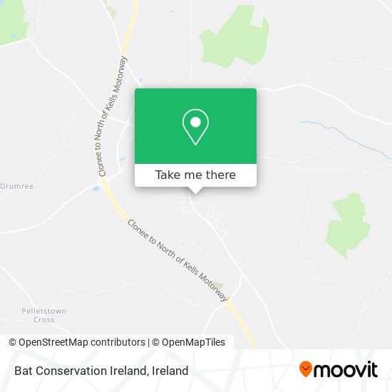 Bat Conservation Ireland map