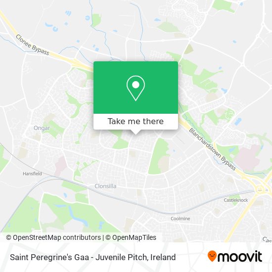 Saint Peregrine's Gaa - Juvenile Pitch plan