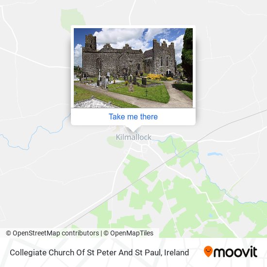 Collegiate Church Of St Peter And St Paul plan