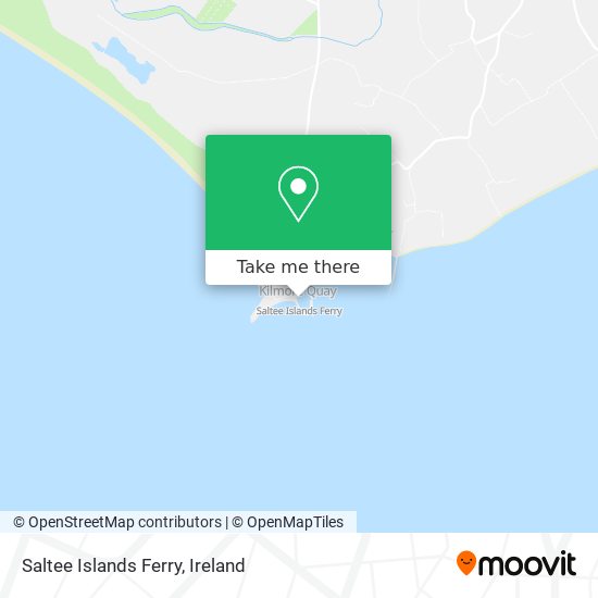 Saltee Islands Ferry plan