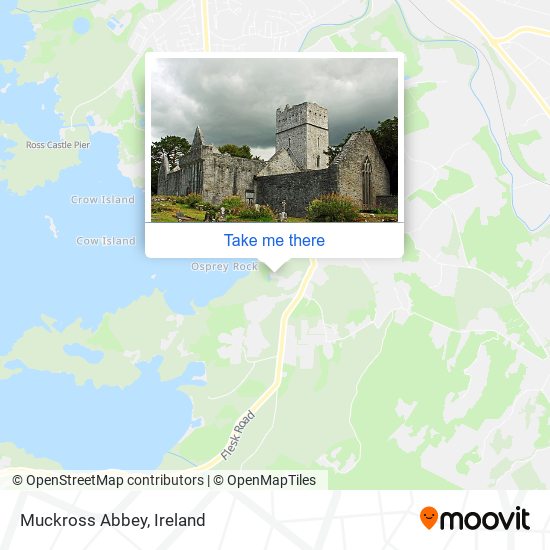Muckross Abbey plan