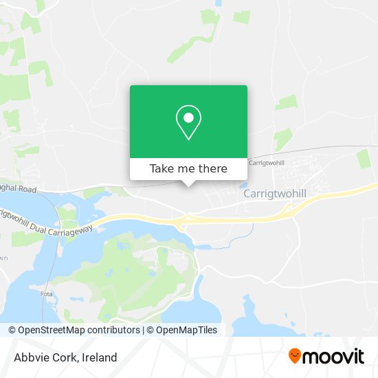 Abbvie Cork map