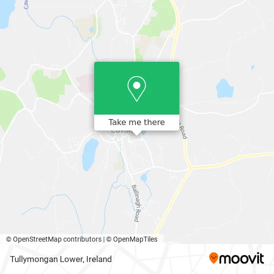 Tullymongan Lower map